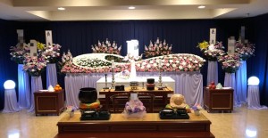 7797FA21-30DD-4DAC-ABD6-0AB994D2BC94