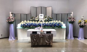 7D37603E-BD6F-4681-BE4E-B8A48BBB5CD3