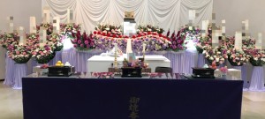 6EA52614-91BC-41BA-951A-09EDB693DF7D