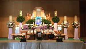 9731A8C9-893B-4944-9FAD-BF5D0C2210EE