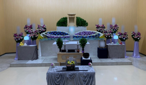 6EA85A78-78B7-4F73-8ED2-2FF4B4BD34B3